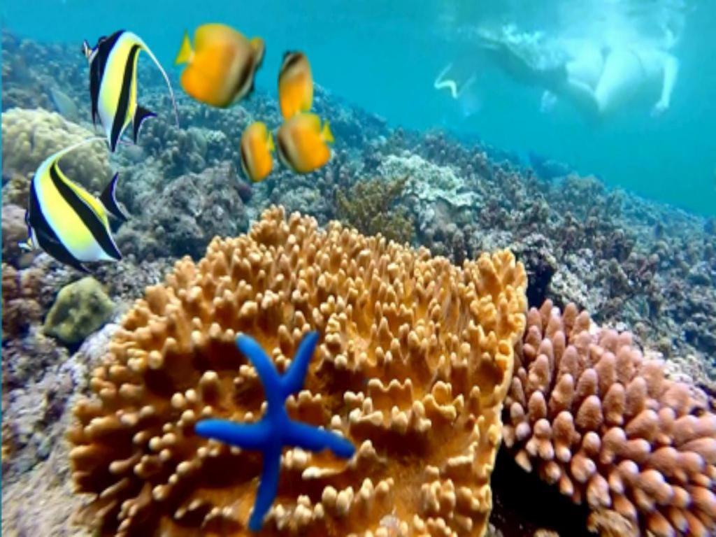 Tulamben Wreck Divers Resort & Restaurant Екстериор снимка