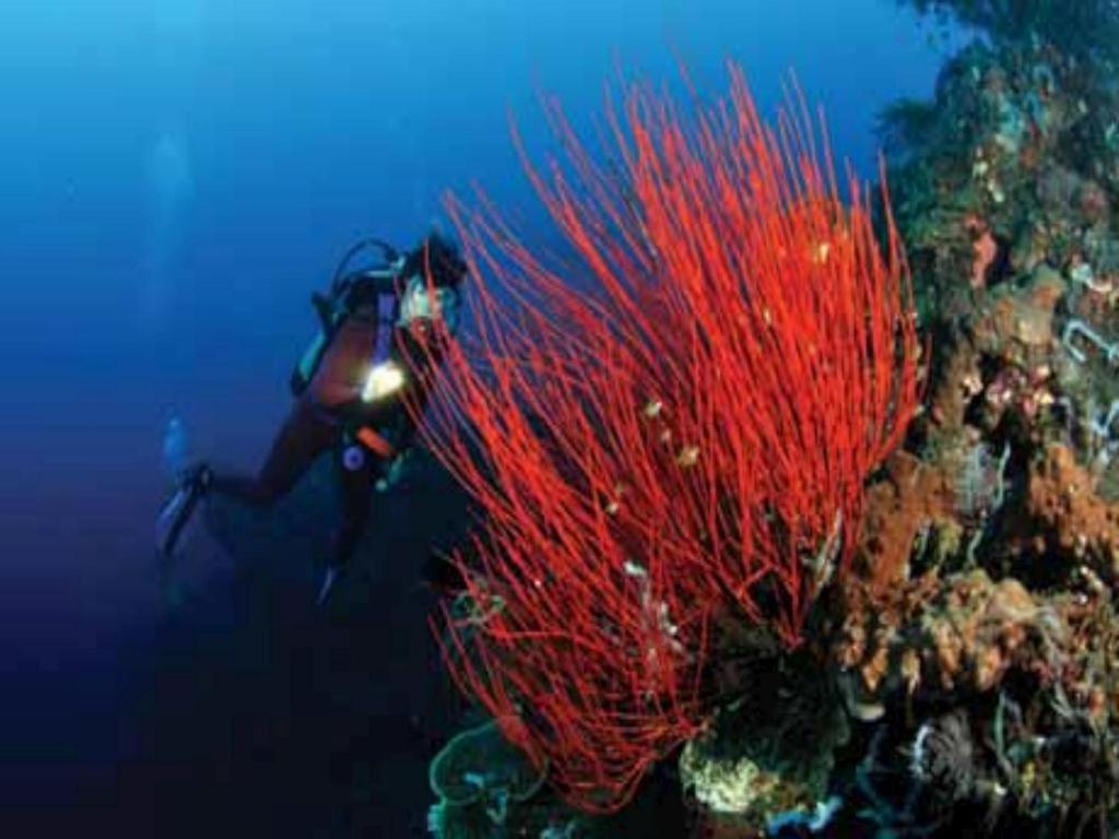 Tulamben Wreck Divers Resort & Restaurant Екстериор снимка
